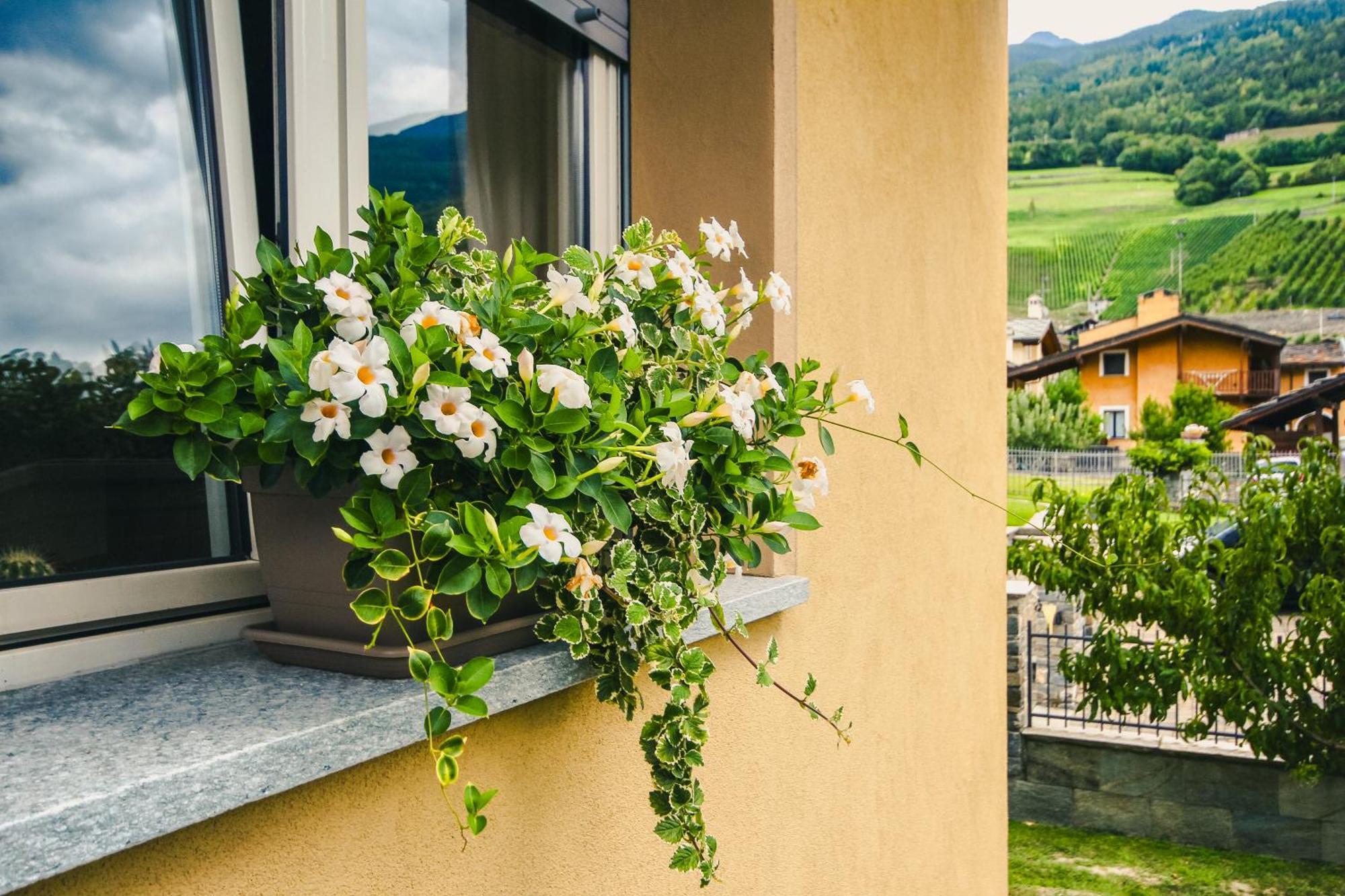 L'Adret Hotel Gressan Kültér fotó